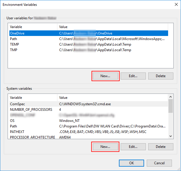 Environment Variables