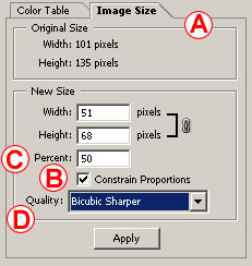 Image Size Settings in Save Tab in Adobe Photoshop